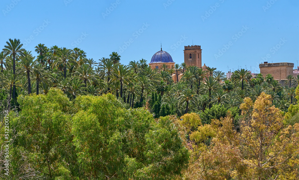 View of the Palmeral of Elche and view of the Altamira castle and the blue dome of the Santa María basilica, located in the Valencian Community, Alicante, Elche, Spain