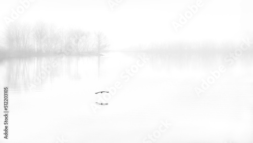 Foggy FLight — Jordan Lake, NC