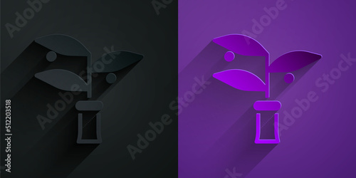 Paper cut Plant breeding icon isolated on black on purple background. Plants growing in the test tubes. Organic food ,agriculture and hydroponic. Paper art style. Vector