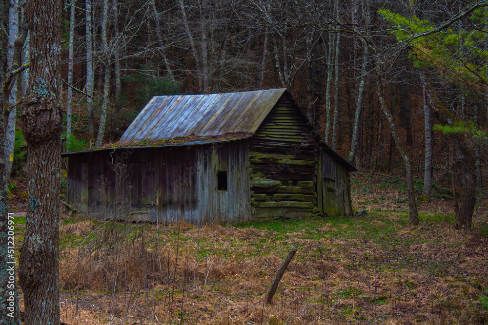 old house old house