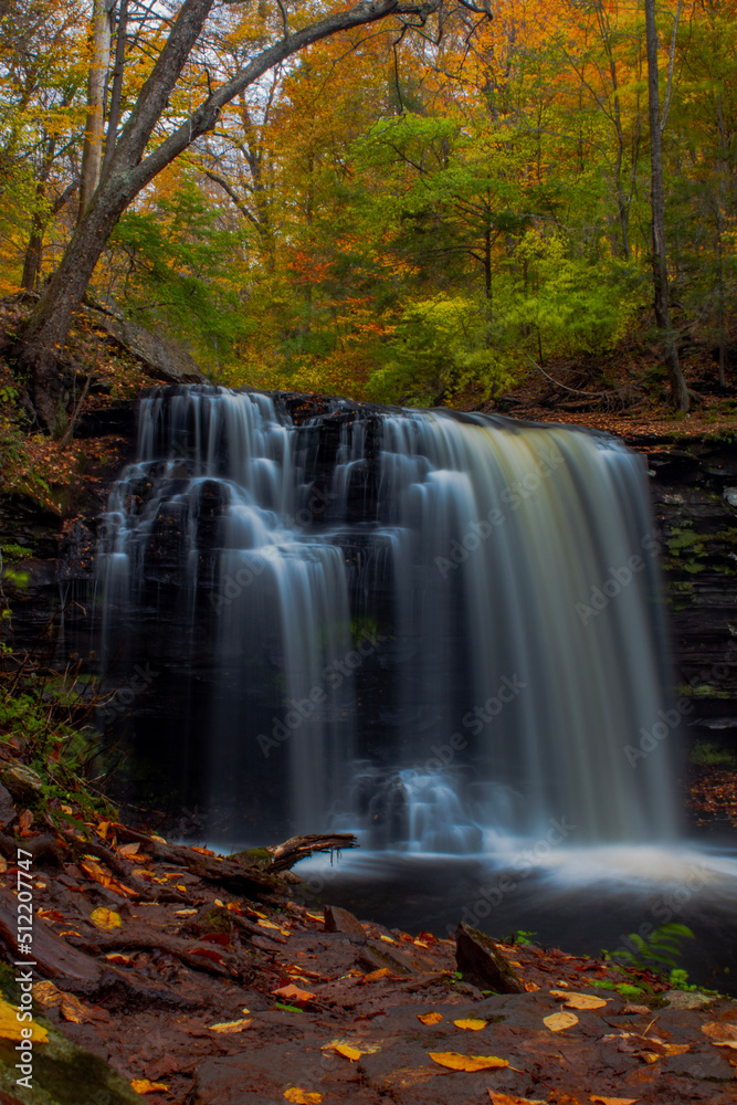 Fototapeta premium waterfall in autumn