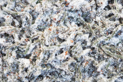 Texture, background Poplar fluff on the ground, soft fibers from fabrics such as wool or cotton that accumulate in small light wads, catkins. Strong allergen, health hazard concept photo