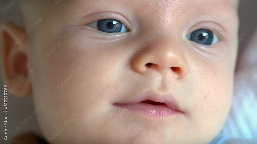 Extreme closeup of a curious newborn face. Extreme closeup of a curious newborn face.