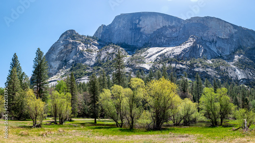 Panoramic view of Half Dome from the meadow of Mirror Lake, in Yosemite, California