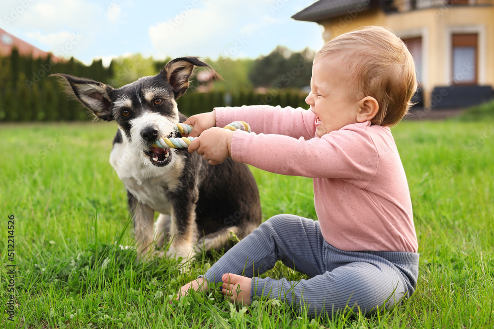 Adorable baby and furry little dog on green grass outdoors Adorable baby and furry little dog on green grass outdoors