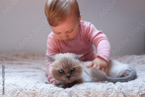 Adorable baby with cute cat on bed indoors