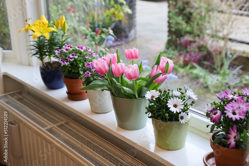 Many beautiful blooming potted plants on windowsill indoors © New Africa