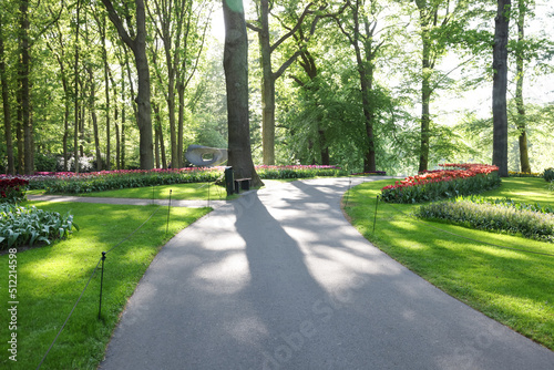 Pathway in park with green trees and beautiful flowers on sunny day. Spring season