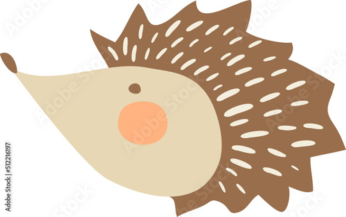 Hedgehog Animal Illustration
