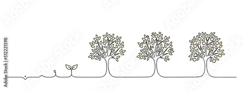 Fotografia, Obraz plant growing from seedling into tree vector illustration, life cycle of apple t