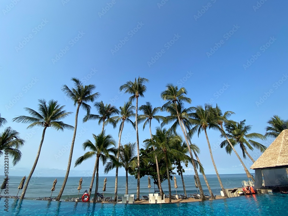 Fototapeta premium nice tropical with blue sky, palms tree, green leave