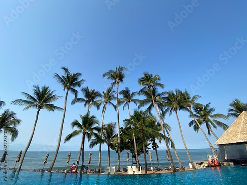 nice tropical with blue sky, palms tree, green leave © waranyu