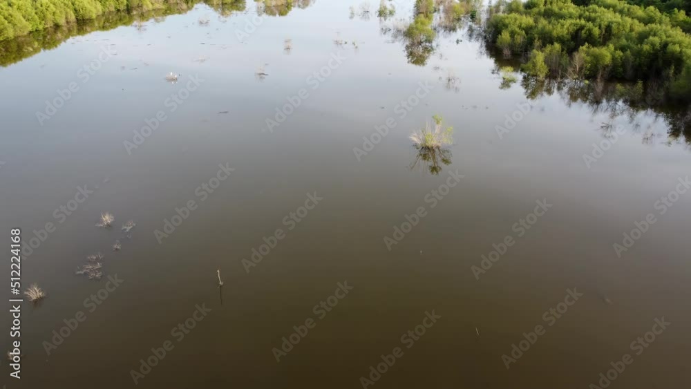Aerial fly over vast open area of wetland Aerial fly over vast open area of wetland