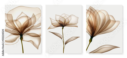 Luxury watercolor floral background in beige and brown colors. Botanical set of art posters for decor, wallpaper, interior design