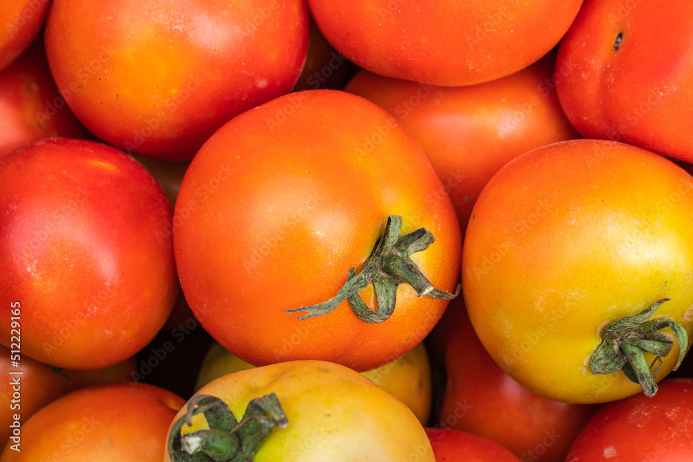 fresh organic tomatoes from farm close up from different angle fresh organic tomatoes from farm close up from different angle