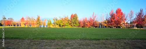 Panoramic view of a park during autumn season  campus of the University of Takca  