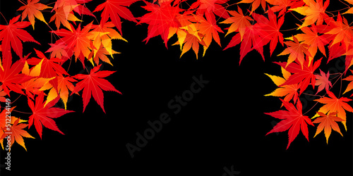 紅葉　もみじ　秋　背景
