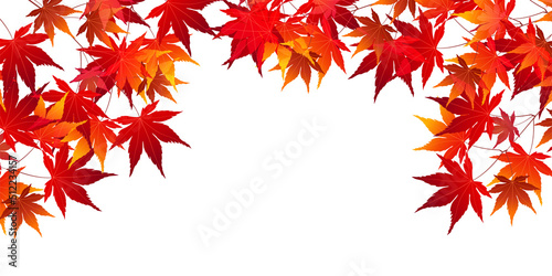 紅葉　もみじ　秋　背景