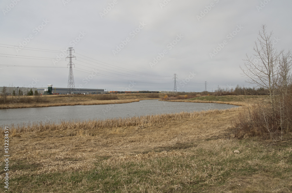 Pylypow Wetlands on a Cloudy Spring Day Pylypow Wetlands on a Cloudy Spring Day