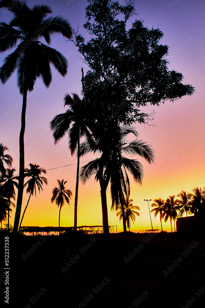 silhouettes of palm trees and evening and sunset in pie de la cuesta, acapulco guerrero 