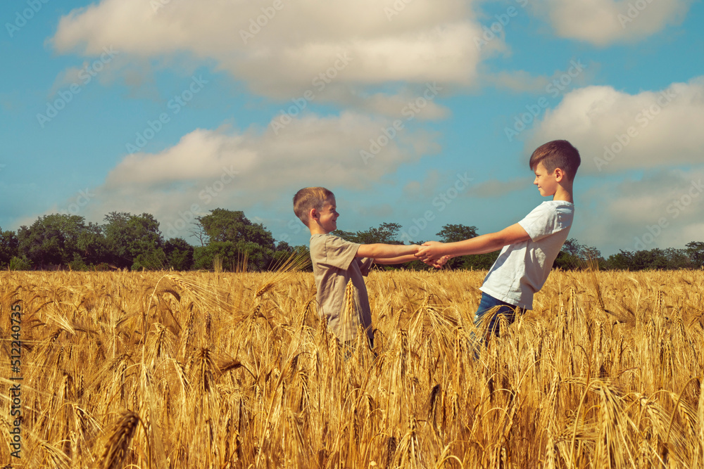 children in a field of wheat, two boys on a walk in the countryside