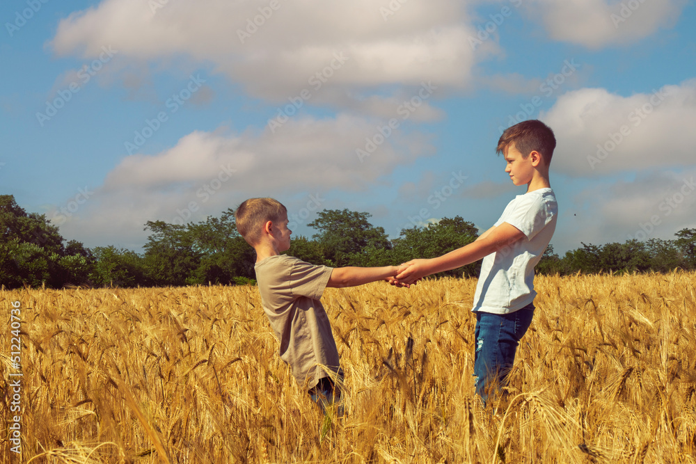 children in a field of wheat, two boys on a walk in the countryside