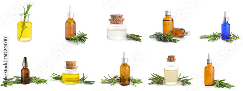 Set of bottles with healthy rosemary essential oil on white background