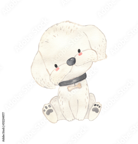 Watercolor Maltese. Dog illustration for kids