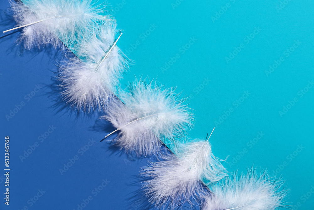 Obraz premium Beautiful white feathers on blue background