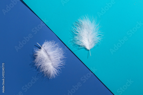Fototapeta Naklejka Na Ścianę i Meble -  Two white feathers on blue background
