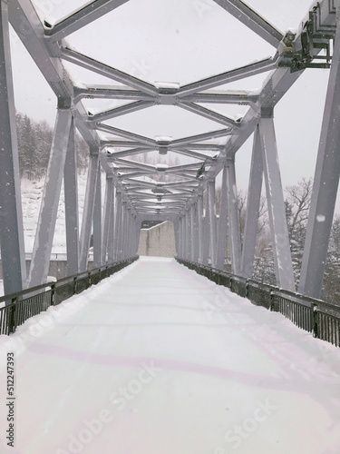 bridge in winter