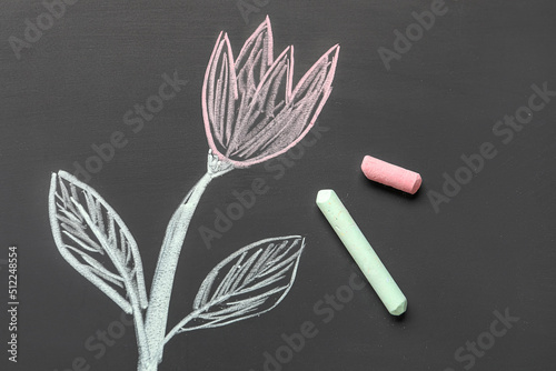 Drawn flower with chalks on...