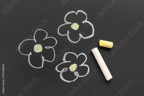 Drawn flowers with chalks o...