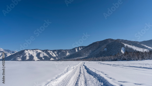 A road trampled by cars passes through an endless snow-covered valley. Ahead, against a clear blue sky, there is a wooded mountain range. Copy space. Altai
