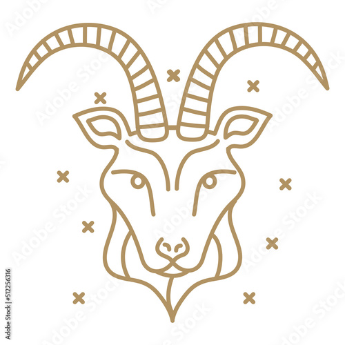 capricorn astrology zodiac sign