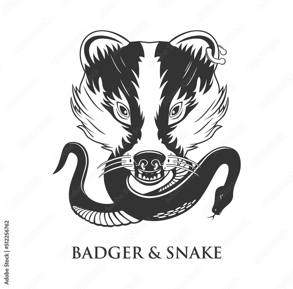 Badger n snake tatto design illustration Badger n snake tatto design illustration