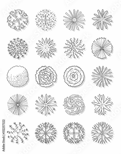 Hand drawn vector illustration set of top view trees isolated on white background.