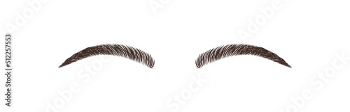 Elegant female eyebrows shape. Brow master logo. Permanent make-up and microblading. Linear vector Illustration in trendy minimalist style.