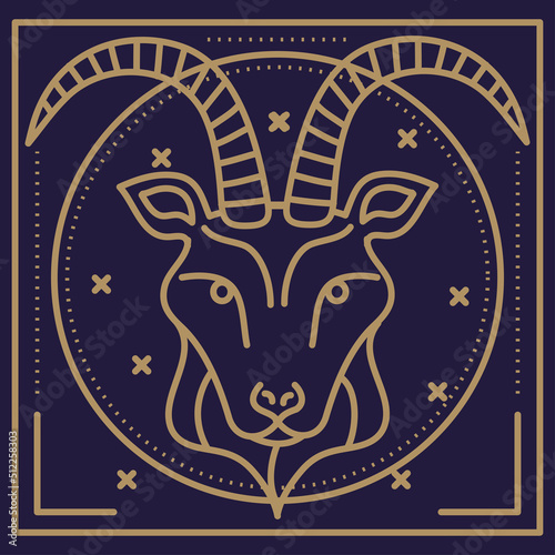 capricorn astrology zodiac symbol