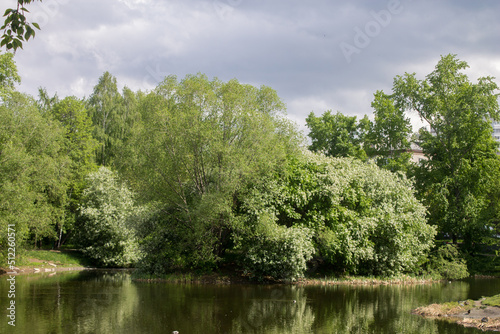 lake in the park