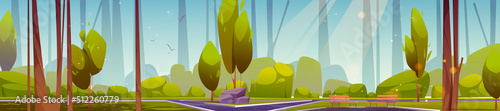 Summer park, city area panoramic background with asphalt pathway, green trees and wooden benches under sun beams. Public place for recreation. Cartoon landscape with urban garden, Vector illustration,