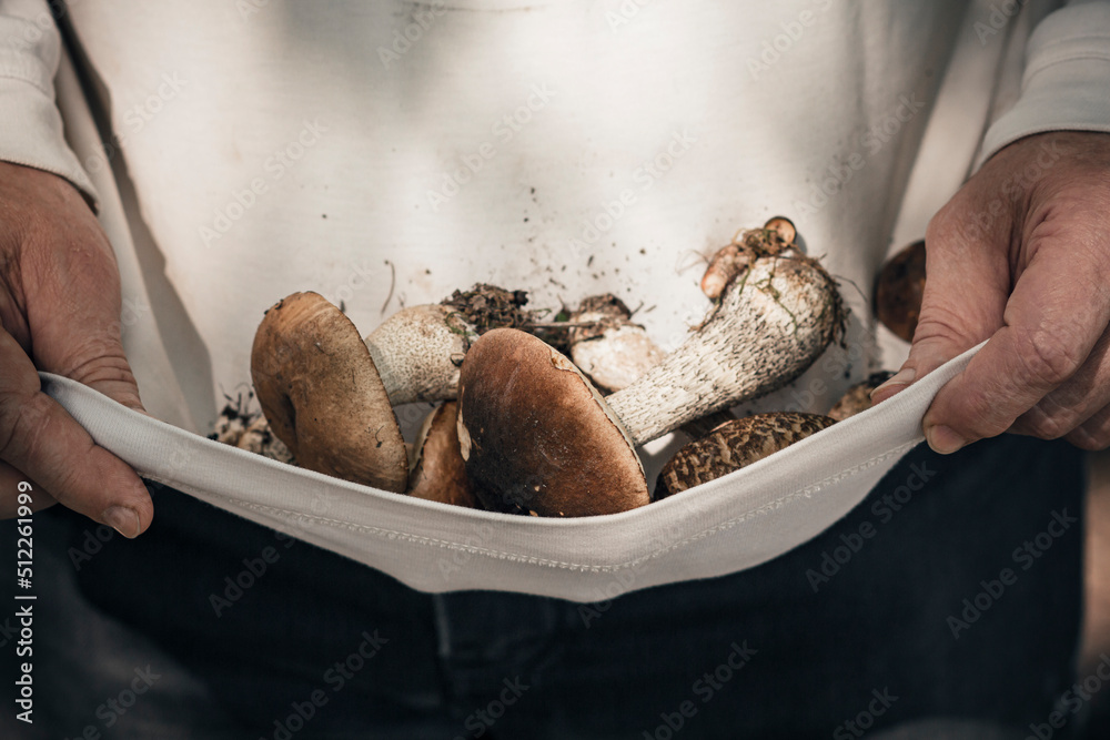 a man was picking mushrooms in the forest without a basket a man was picking mushrooms in the forest without a basket