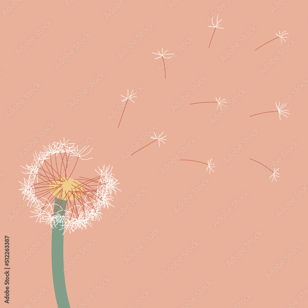 a sprig of dandelion with a soft boho color and the seeds are blown by the wind