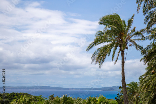 Coconut palm trees in sunny day - Tropical summer breeze holiday  vintage tone