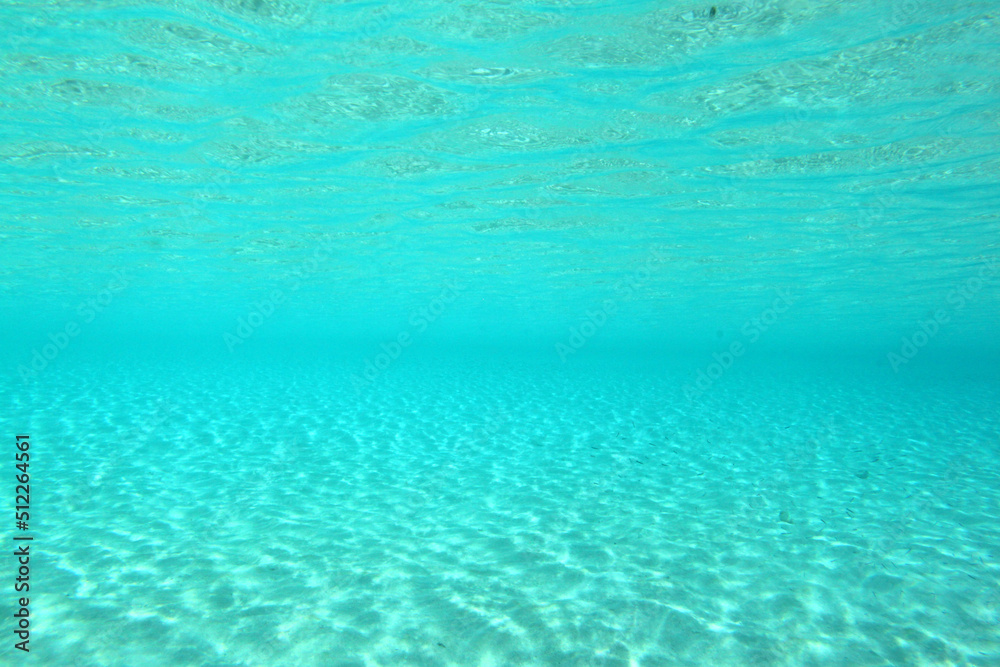 Fototapeta premium ビーチエントリー