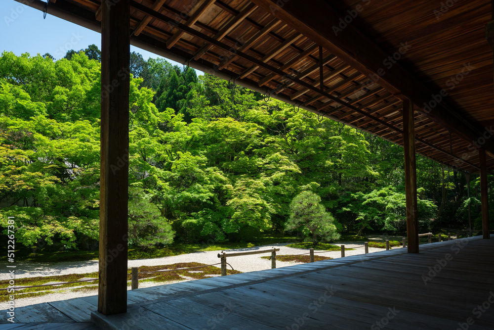 京都 南禅寺の塔頭寺院 天授庵の新緑 京都 南禅寺の塔頭寺院 天授庵の新緑