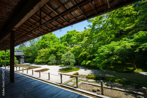 京都 南禅寺の塔頭寺院 天授庵の新緑