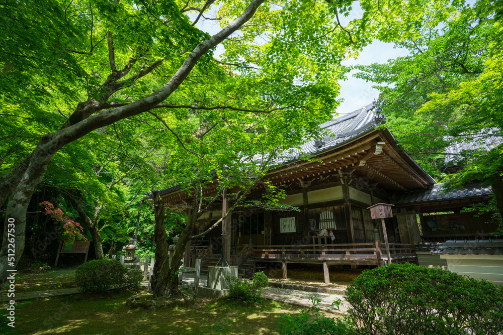 京都　勝持寺の阿弥陀堂と新緑