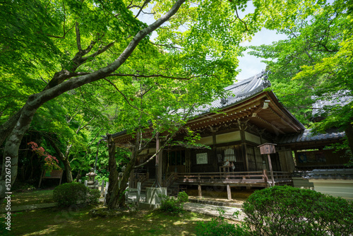 京都 勝持寺の阿弥陀堂と新緑
