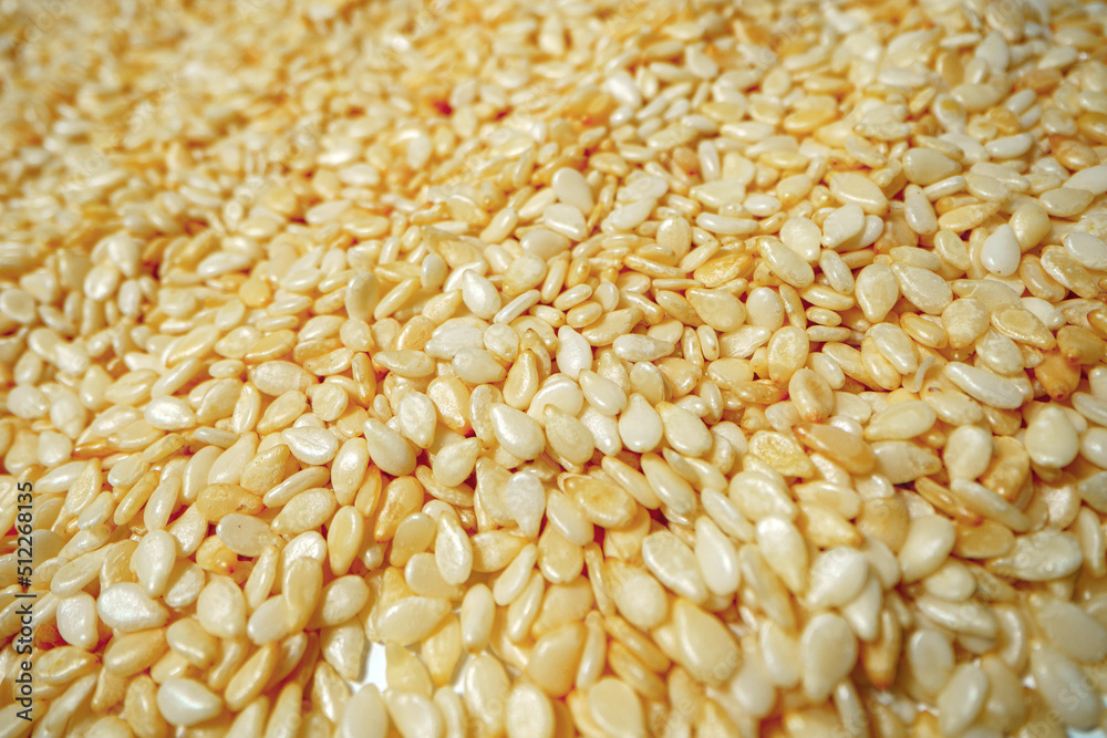 Close up macro shot of dried sesame seeds Close up macro shot of dried sesame seeds